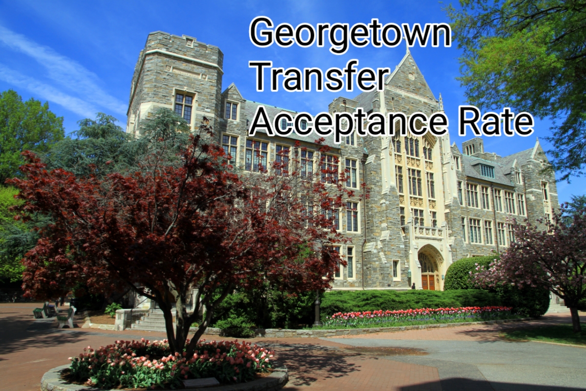 Transfer Acceptance Rate 2024 & Requirements School Isle